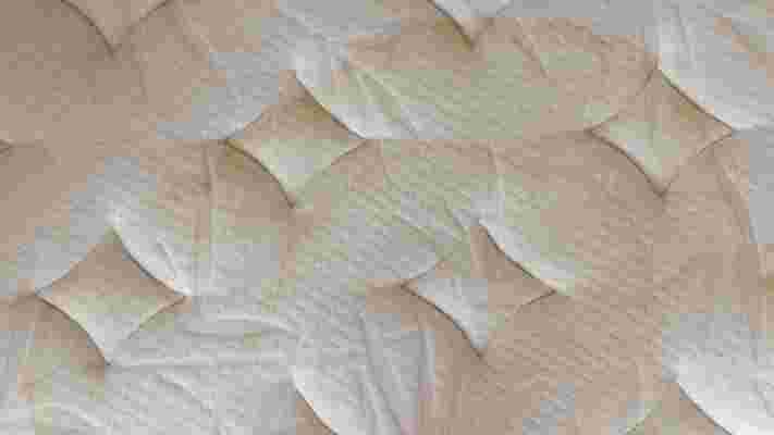 Dust mites and sweat: what builds up on a mattress when it isn’t cleaned